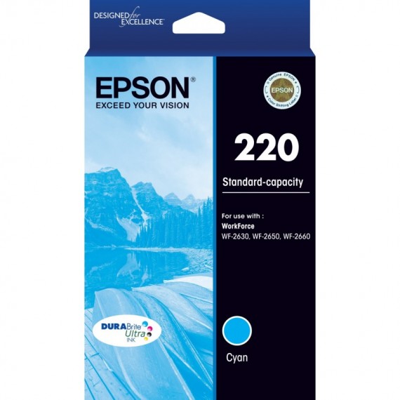 Epson 252 Cyan Ink Cartridge - Out Of Ink