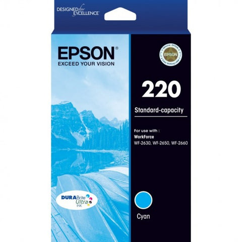 Epson 252 Cyan Ink Cartridge - Out Of Ink